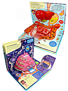 POP UP энциклопедия. Анатомия: книжка-панорамка