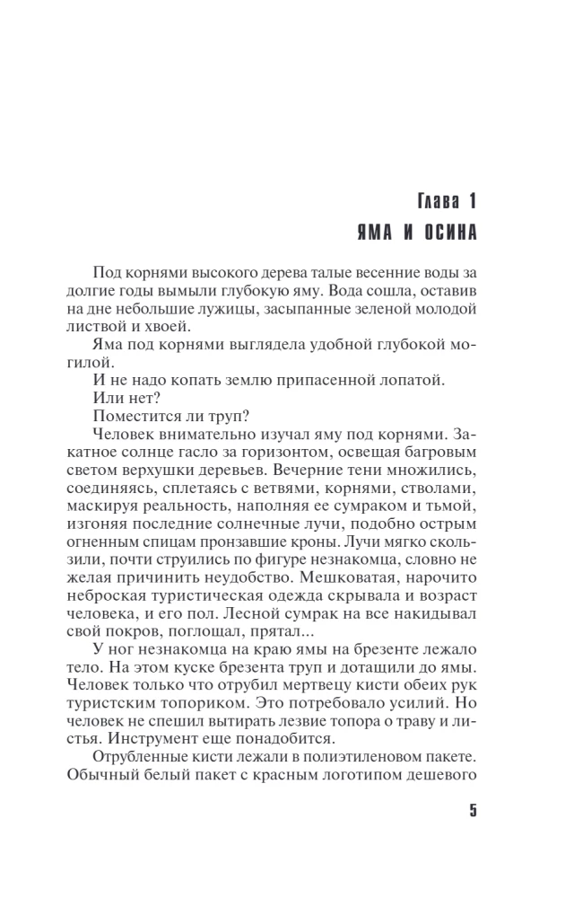Четыре крыла