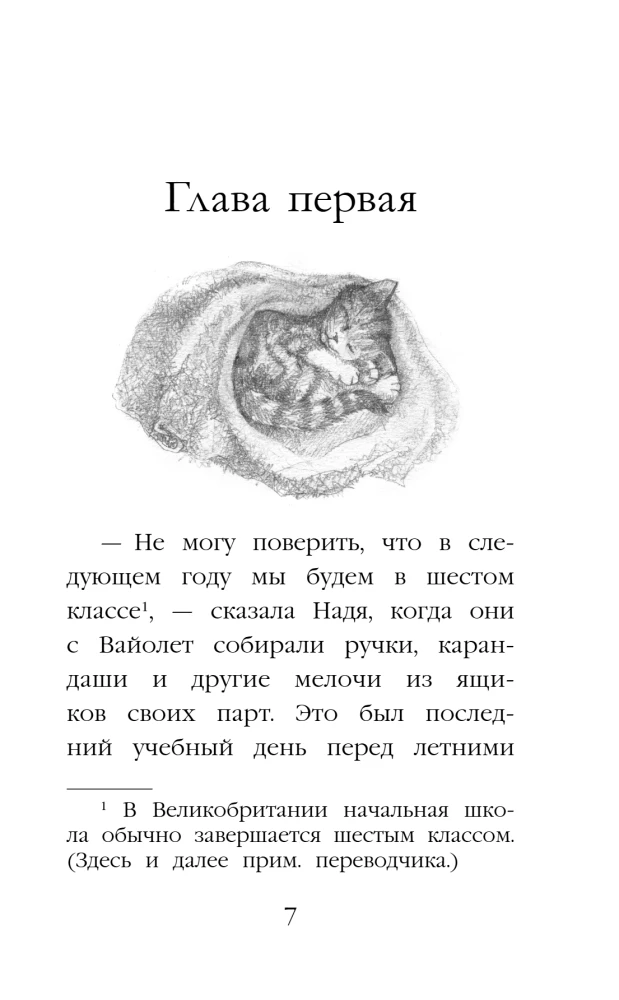Котенок Луна, или Пушистый сюрприз