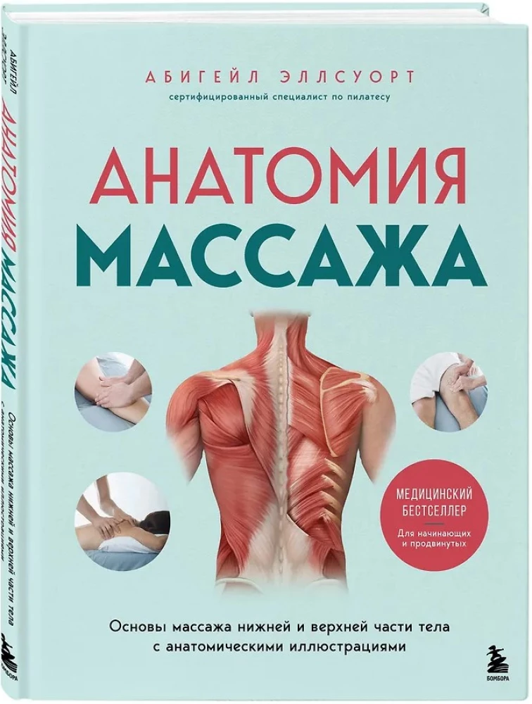 Анатомия массажа. Основы массажа нижней и верхней части тела с анатомическими иллюстрациями
