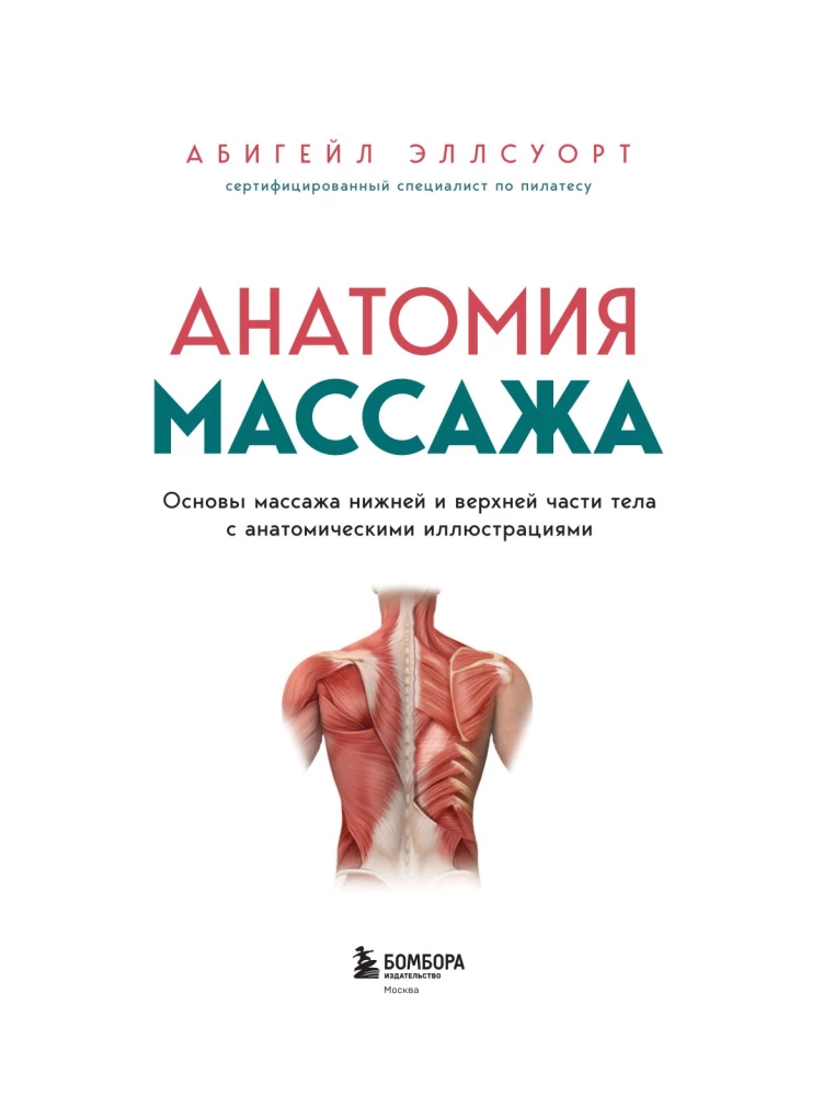 Анатомия массажа. Основы массажа нижней и верхней части тела с анатомическими иллюстрациями