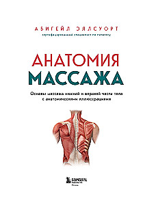 Анатомия массажа. Основы массажа нижней и верхней части тела с анатомическими иллюстрациями