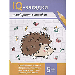 IQ mīklas un labirinti-atbildes: 5+