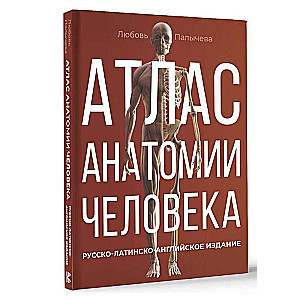 Cilvēka anatomijas atlants. Krievu-latīņu-angļu izdevums