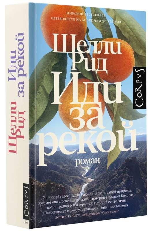 Иди за рекой: роман