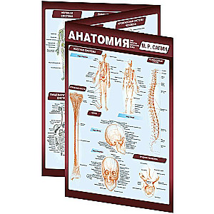 Anatomija. Viskompaktākā anatomiskā tabula