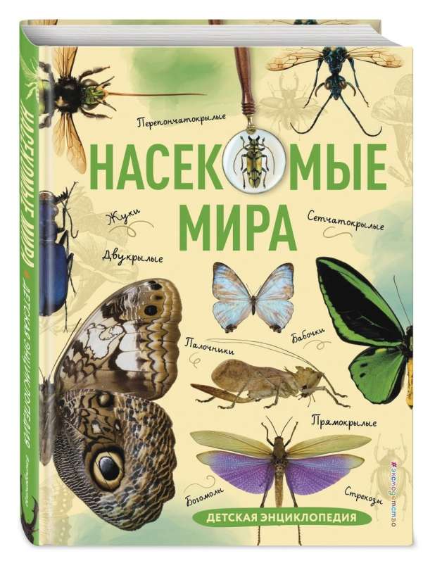 Kļūdas pasaulē. Bērnu enciklopēdija