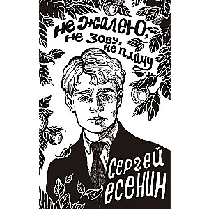 Nežēloju, neizsaucu, neraudu...