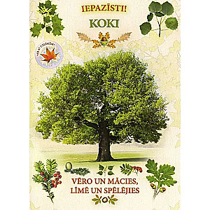 Iepazīsti! Koki. Vēro un mācies, līmē un spēlējies