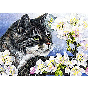 Numuru gleznas 30x40 cm Kaķis uz ziedoša ābeles, 20 krāsas, urv. 4