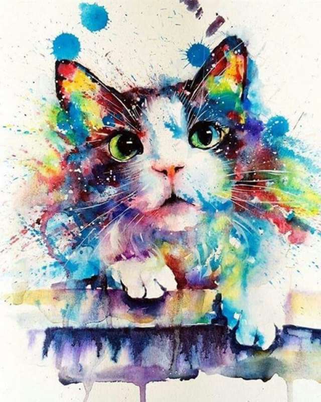 Glezna pēc numuriem  30x40 cm Krāsains kaķis,20 kr., grūtība 4