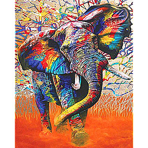 Numuru gleznas 30x40 cm Krāsains zilonis, 20 krāsas, plēsts 4