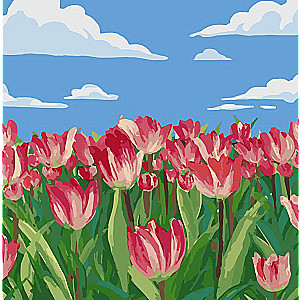 Numuru gleznas 20x20 cm Tulpes, 10 krāsas, urv. 4