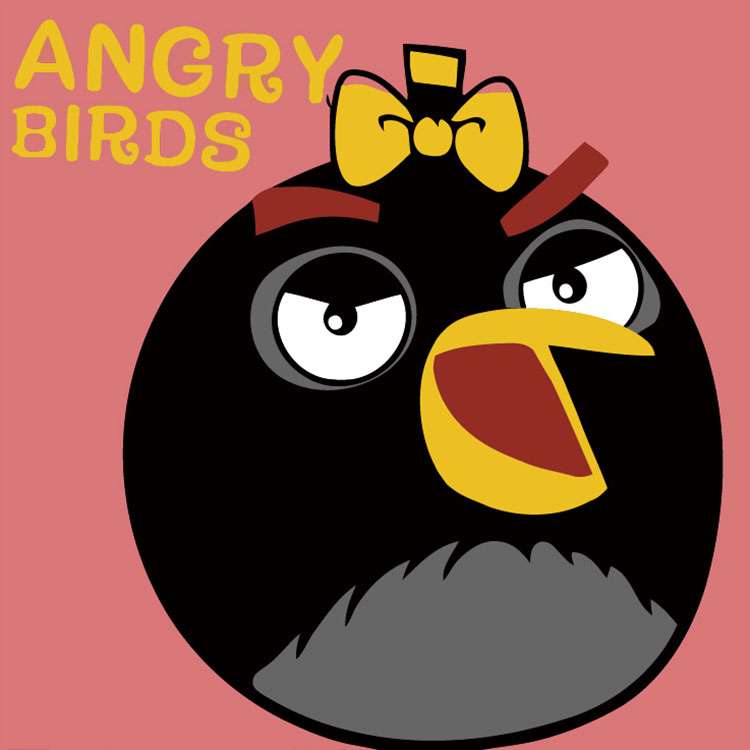 Glezna pēc numuriem 20x20 cm Angry Birds, melns, 6 krāsas, grūtība 4 