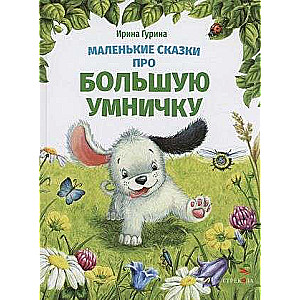 Mazi stāsti par lielo gudrinieku