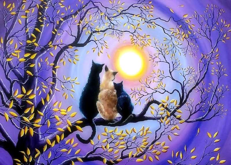 Glezna pēc numuriem 30x40 cm Trīs kaķi zem mēness