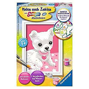 Glezna pēc numuriem 12x8,5cm Čihuahua