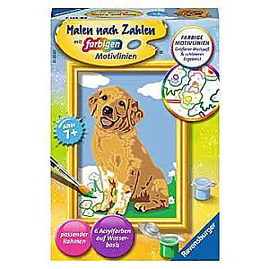 Glezna pēc numuriem 12x8,5cm Zeltainais retrīvers