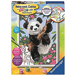Glezna pēc numuriem 18X24cm Panda