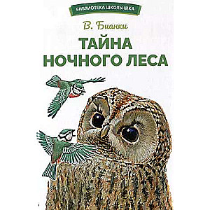 Taisna nakts mežā