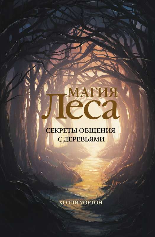 Meža burvība. Koku saziņas noslēpumi