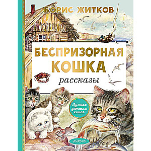 Bezsaistē esošs kaķis
