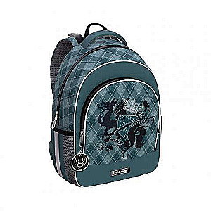 Mugursoma 28x39x14, 520g. 15 L ErichKrause Ergo Line, Dragon Emblem