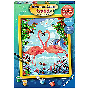 Glezna pēc numuriem 30X24cm Flamingo Love
