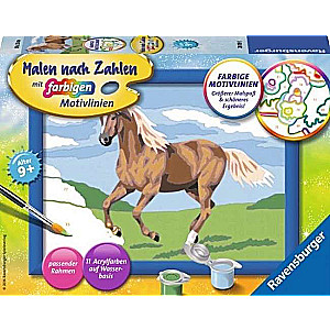 Glezna pēc numuriem  13X18cm Brūnā zirgā