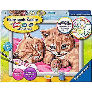 Glezna pēc numuriem  13X18cm Divi oranži kaķēni