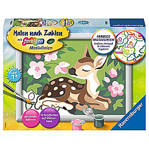 Glezna pēc numuriem  13X18cm Little dee