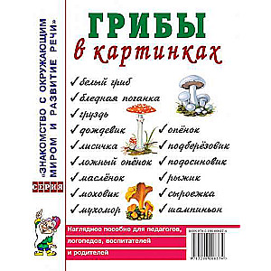 Sēnes attēlos. Vizuālais palīglīdzeklis audzinātājiem, logopēdiem, pedagogiem, vecākiem.