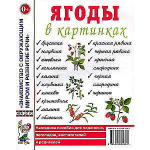 Ogas attēlos. Redzams mācību līdzeklis pedagogiem, audzinātājiem, logopēdiem, vecākiem.