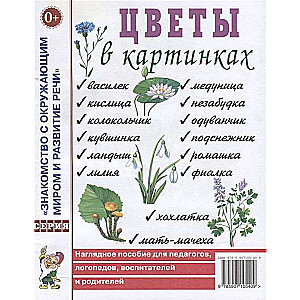 Ziedi attēlos. Vizualizācijas materiāls pedagogiem, audzinātājiem, logopēdiem, vecākiem.
