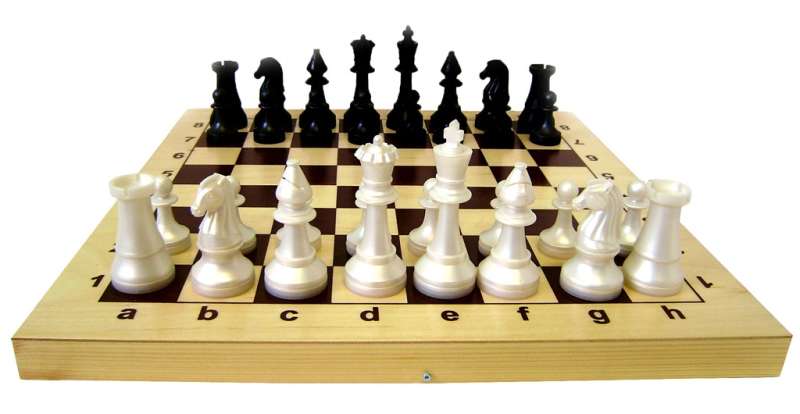 Шахматы гроссмейстерские пластмассовые d38 в деревянной доске 430*1215*55