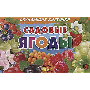 Садовые ягоды