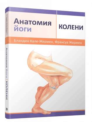 Анатомия йоги: колени
