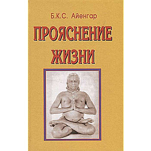 Dzīves skaidrojums
