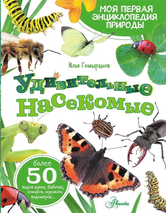 Pārsteidzošie kukaiņi