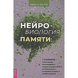 Neiropoloģija atmiņas: 7 prasmes, kas ļauj optimizēt jūsu smadzeņu jaudu