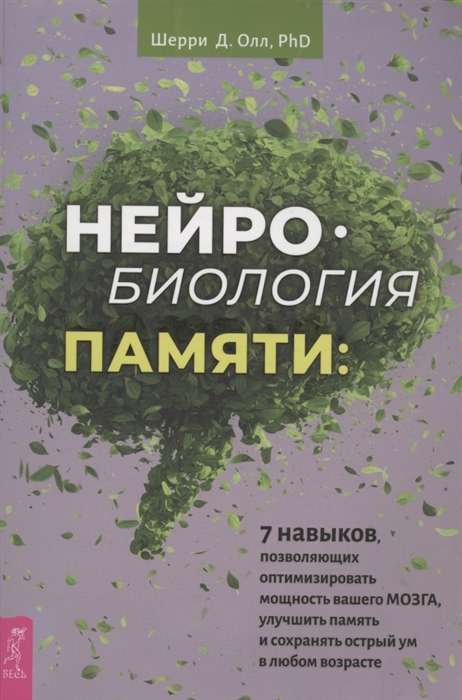 Нейробиология памяти: 7 навыков, позволяющих оптимизировать мощность вашего мозга 