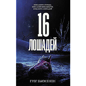 16 zirgus
