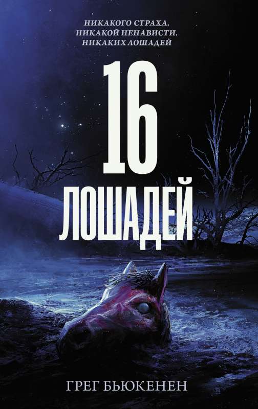 16 zirgus