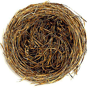 Lieldienu dekors - Putnu ligzda, 7 cm.