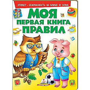 Mana pirmā grāmata NOTEIKUMI