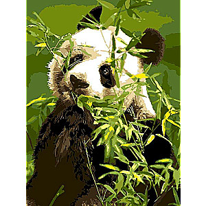 Glezna pēc numuriem - Panda