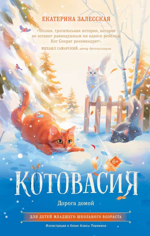 Kotovasija. Ceļš mājās