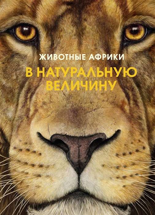 Afrikas dzīvnieki dabiskā izmērā