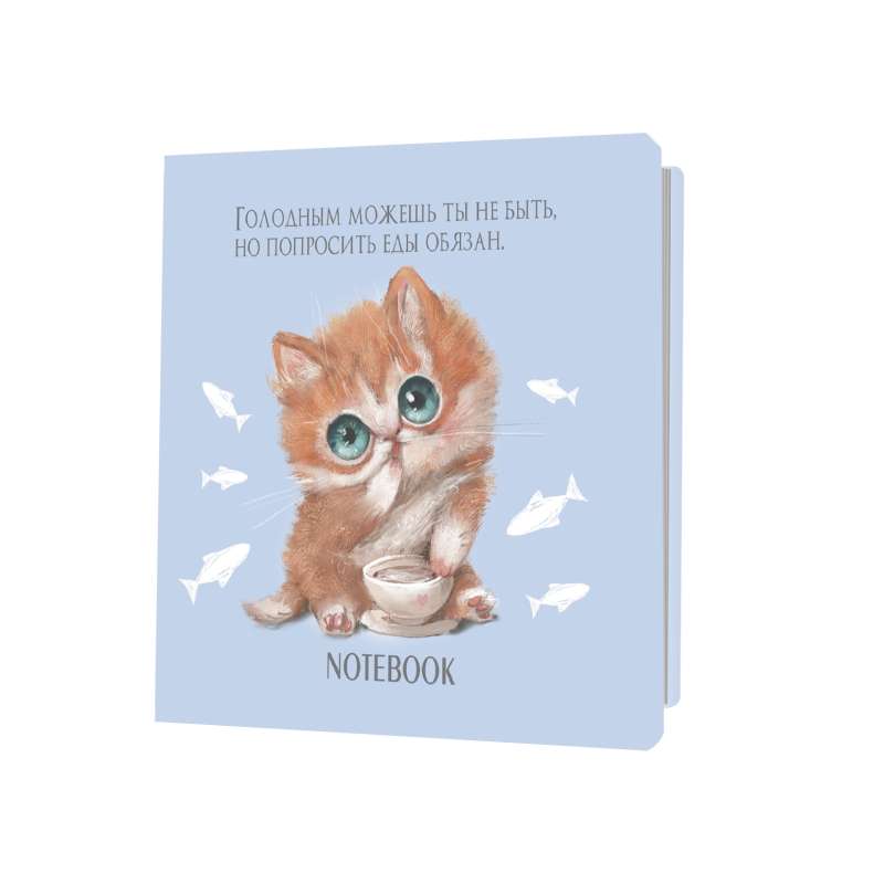 Notebook. Viss, kas jums nepieciešams, ir mīlestība. Un kaķis