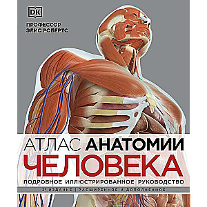 Cilvēka anatomijas atlants. Detalizēts ilustrēts ceļvedis